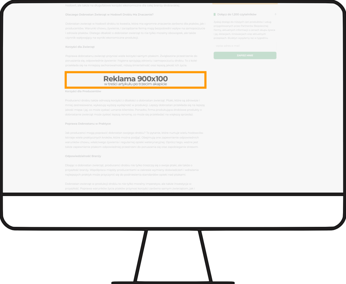 strona artykułu: baner w treści