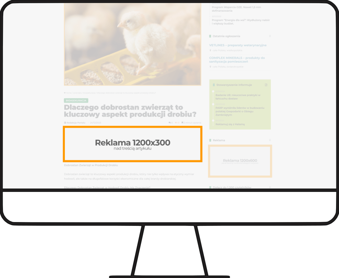 strona artykułu: baner pod tytułem