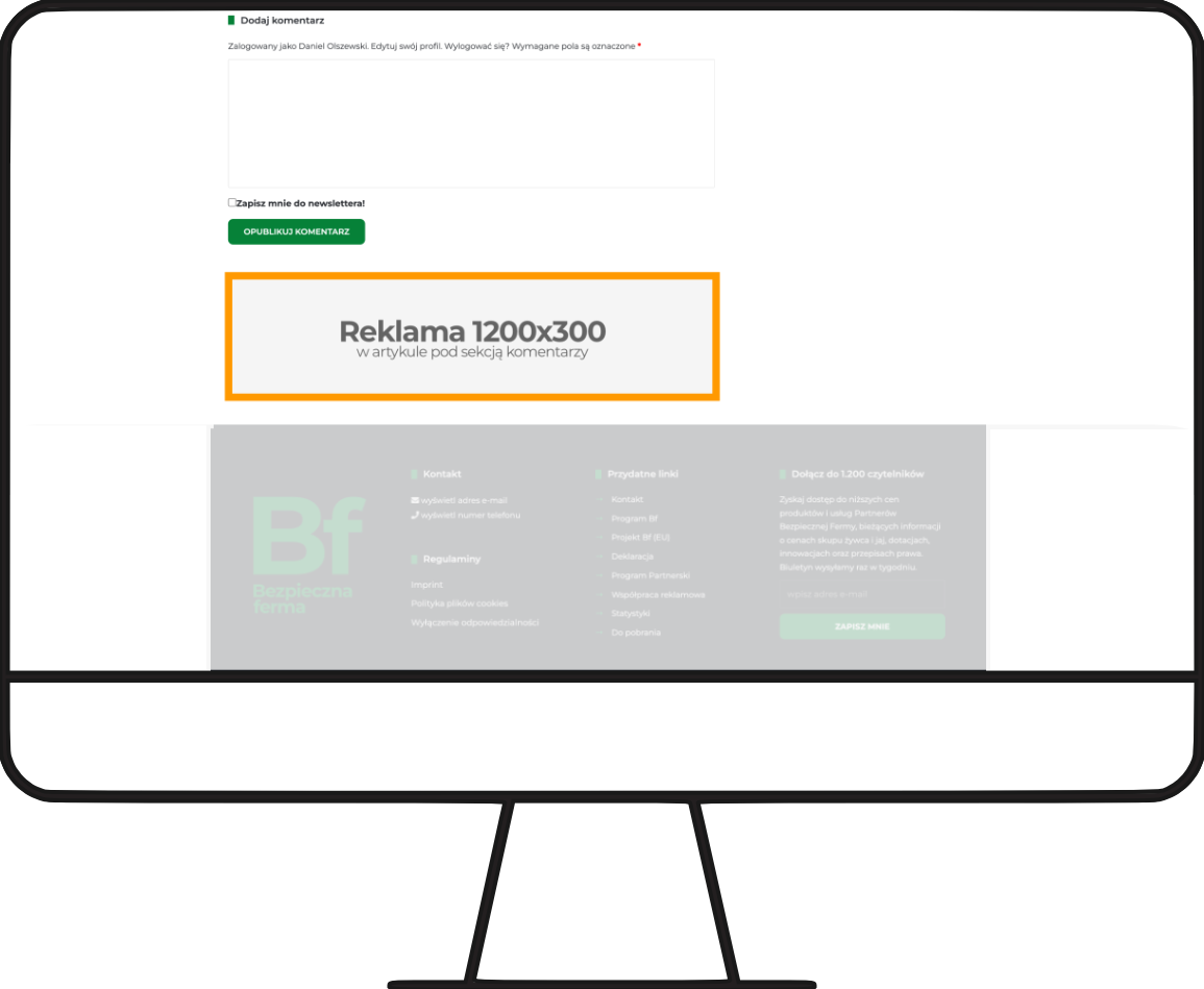 strona artykułu: baner pod sekcją komentarzy